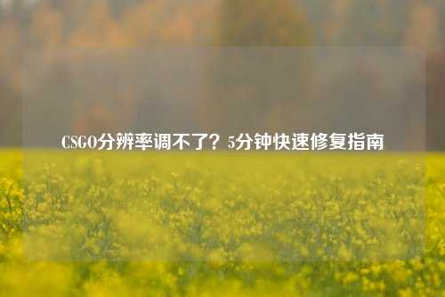 CSGO分辨率调不了？5分钟快速修复指南
