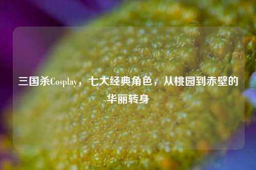 三国杀Cosplay，七大经典角色，从桃园到赤壁的华丽转身