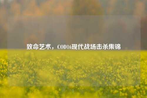 致命艺术，COD16现代战场击杀集锦