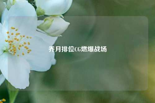 乔月排位CG燃爆战场