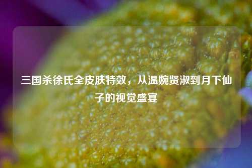 三国杀徐氏全皮肤特效，从温婉贤淑到月下仙子的视觉盛宴