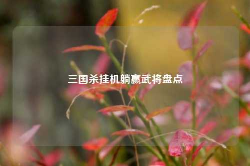 三国杀挂机躺赢武将盘点