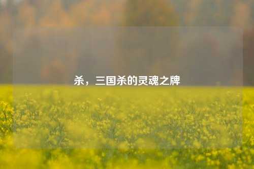 杀，三国杀的灵魂之牌