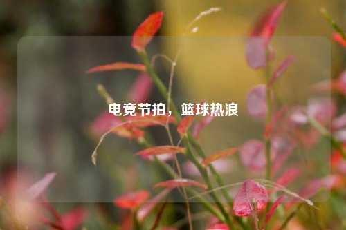 电竞节拍，篮球热浪
