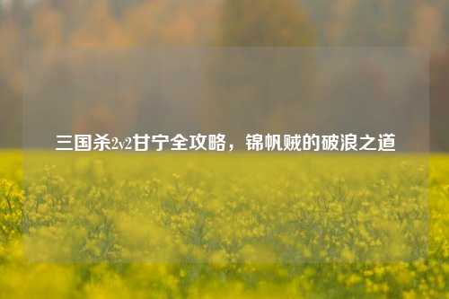 三国杀2v2甘宁全攻略，锦帆贼的破浪之道