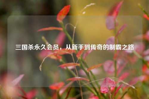 三国杀永久会员，从新手到传奇的制霸之路