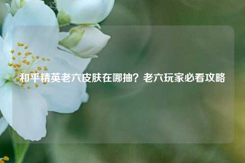 和平精英老六皮肤在哪抽？老六玩家必看攻略