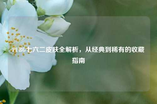 PUBG七六二皮肤全解析，从经典到稀有的收藏指南