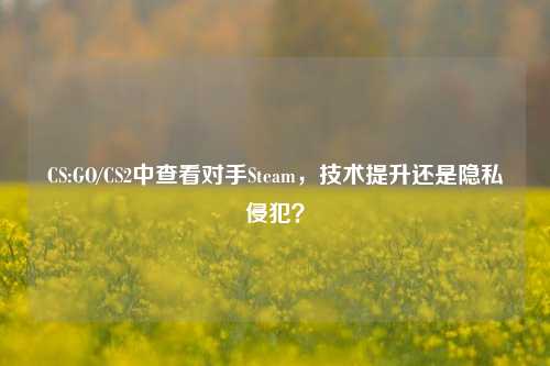 CS:GO/CS2中查看对手Steam，技术提升还是隐私侵犯？