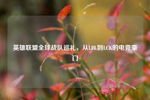 英雄联盟全球战队巡礼，从LPL到LCK的电竞豪门