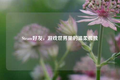 Steam好友，游戏世界里的温柔孤独