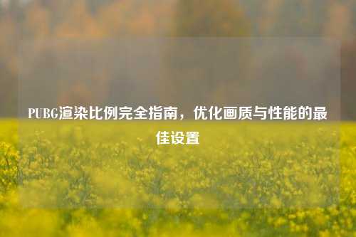 PUBG渲染比例完全指南，优化画质与性能的最佳设置