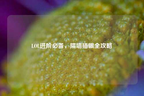 LOL进阶必备，隔墙插眼全攻略