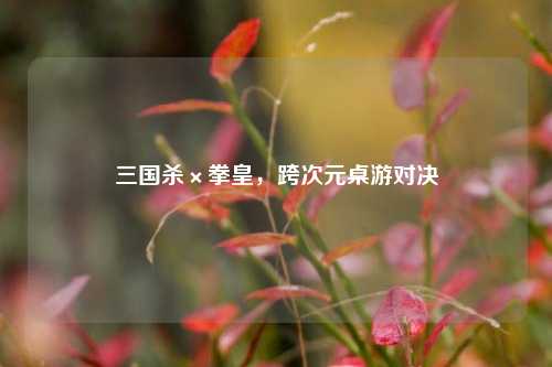 三国杀×拳皇，跨次元桌游对决