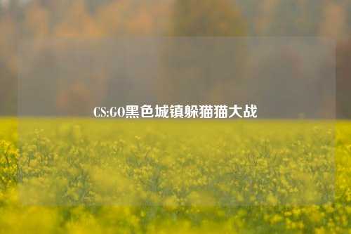 CS:GO黑色城镇躲猫猫大战