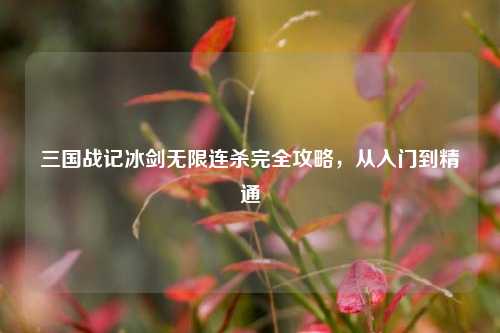 三国战记冰剑无限连杀完全攻略，从入门到精通
