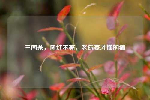 三国杀，风灯不亮，老玩家才懂的痛