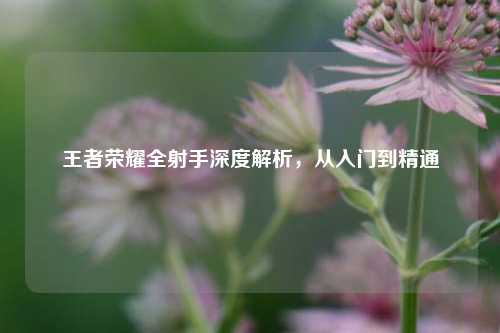 王者荣耀全射手深度解析，从入门到精通
