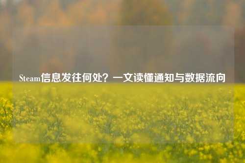 Steam信息发往何处？一文读懂通知与数据流向