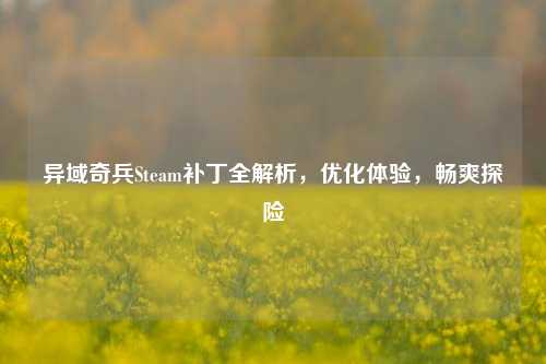 异域奇兵Steam补丁全解析，优化体验，畅爽探险