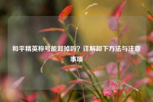 和平精英称号能卸掉吗？详解卸下方法与注意事项
