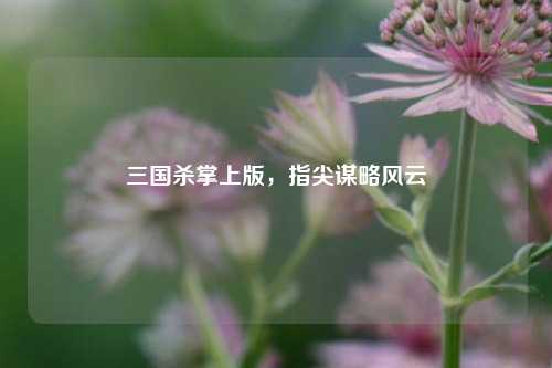 三国杀掌上版，指尖谋略风云