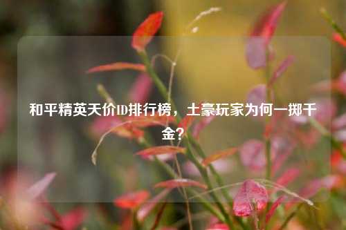 和平精英天价ID排行榜，土豪玩家为何一掷千金？