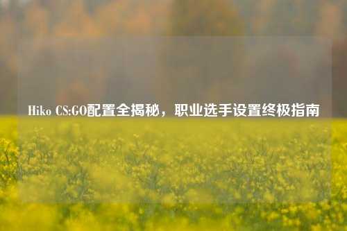 Hiko CS:GO配置全揭秘，职业选手设置终极指南