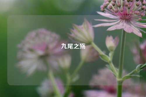 九尾之殇