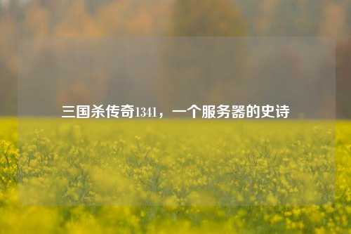三国杀传奇1341，一个服务器的史诗