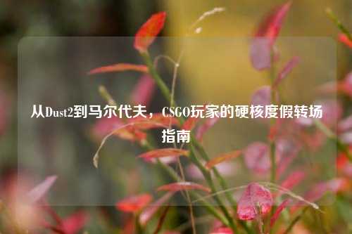 从Dust2到马尔代夫，CSGO玩家的硬核度假转场指南