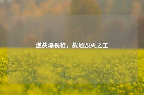 逆战爆裂枪，战场毁灭之王
