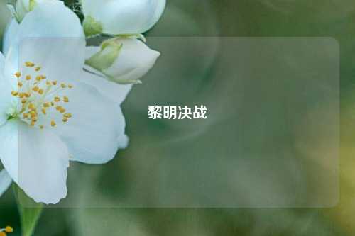 黎明决战