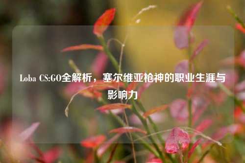 Loba CS:GO全解析，塞尔维亚枪神的职业生涯与影响力