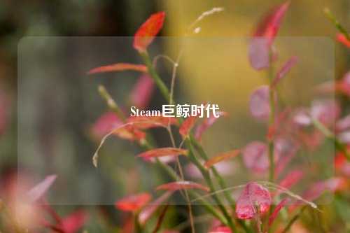 Steam巨鲸时代