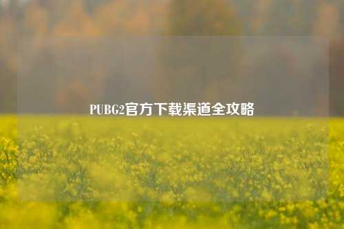 PUBG2官方下载渠道全攻略