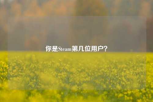 你是Steam第几位用户？