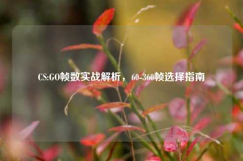 CS:GO帧数实战解析，60-360帧选择指南