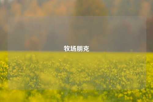 牧场朋克