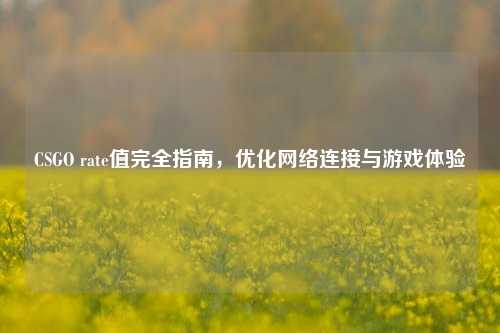 CSGO rate值完全指南，优化网络连接与游戏体验