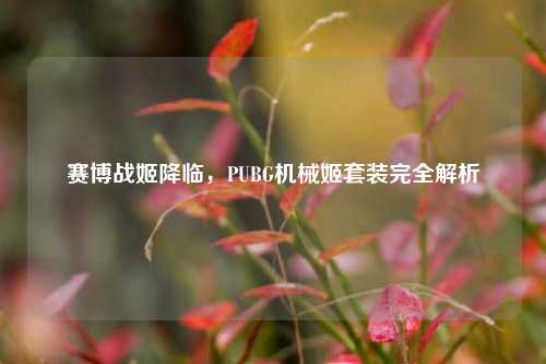 赛博战姬降临，PUBG机械姬套装完全解析