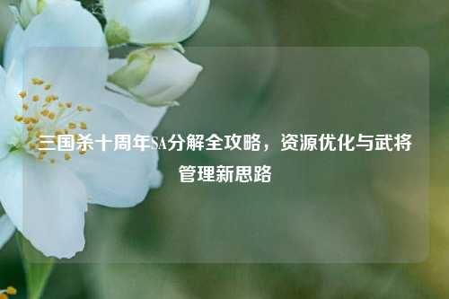 三国杀十周年SA分解全攻略，资源优化与武将管理新思路