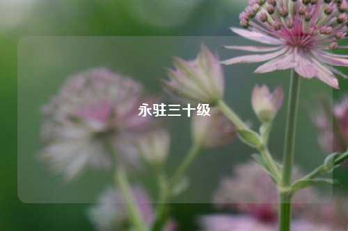 永驻三十级