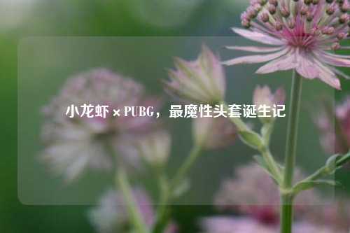 小龙虾×PUBG，最魔性头套诞生记