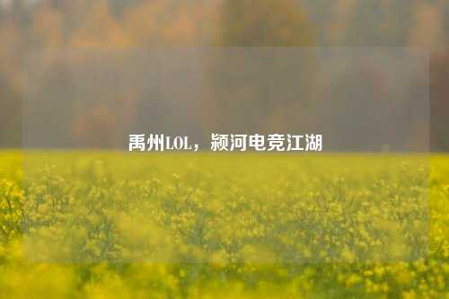 禹州LOL，颍河电竞江湖