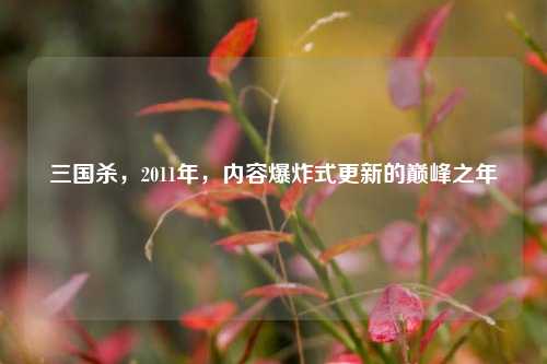 三国杀，2011年，内容爆炸式更新的巅峰之年