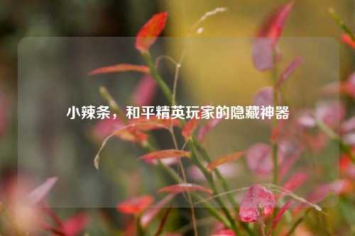 小辣条，和平精英玩家的隐藏神器