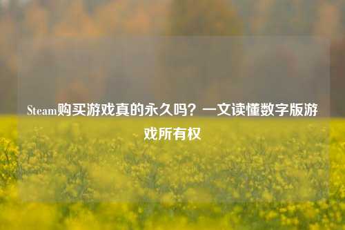 Steam购买游戏真的永久吗？一文读懂数字版游戏所有权