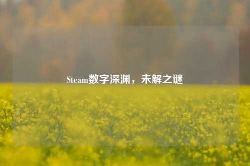 Steam数字深渊，未解之谜