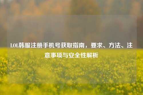 LOL韩服注册手机号获取指南，要求、方法、注意事项与安全性解析